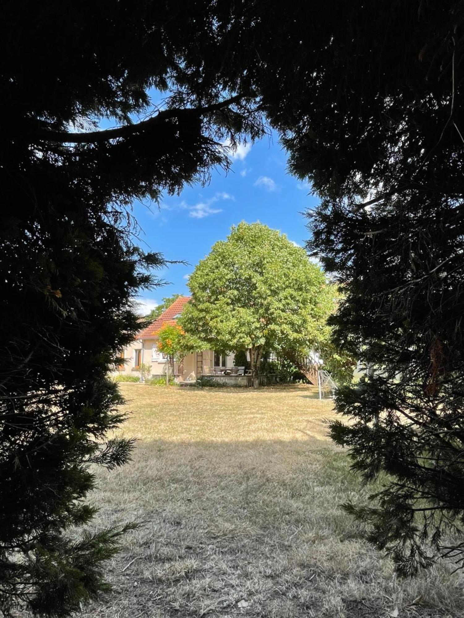 Le Clos Des Trois Provinces, Zoo De Beauval Noyers-sur-Cher Zewnętrze zdjęcie